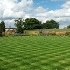 Allen house grass cut