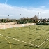 SMP astroturf